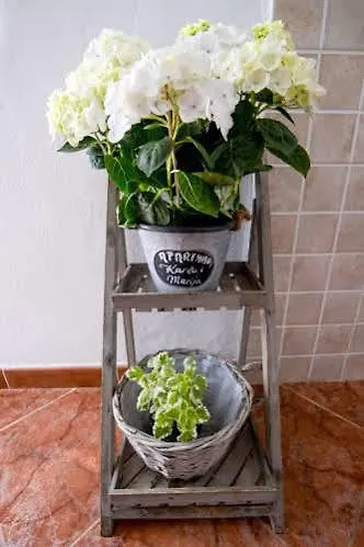 Marija Lejlighed Zadar